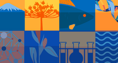 Proyecto InES Ciencia Abierta UBB participó en el II seminario “Produciendo Ciencia desde el sur del mundo. Ciencia Abierta: herramientas y desafíos”