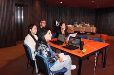 Taller práctico sobre Planes de Gestión de Datos en Chillán y Concepción en el marco del proceso de formación en Ciencia Abierta UBB